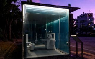 Ada Toilet Umum Transparan di Taman, Siapa Berani Masuk? - JPNN.com