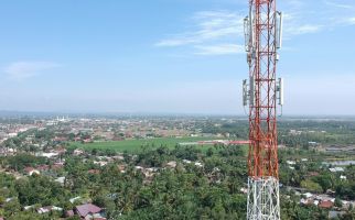 Pemkab Badung Bongkar Menara Telekomunikasi, Tim Polhukam Bakal Turun Tangan - JPNN.com