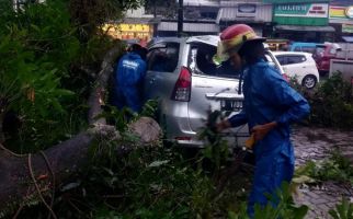 Puncak Bogor Diterjang Angin Kencang, Pohon Tumbang, Mobil Ringsek - JPNN.com