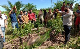 Mayat Joko Febriyanto Ditemukan Penuh Luka di Pinggir Jalan, Warga Geger, Lihat Fotonya - JPNN.com