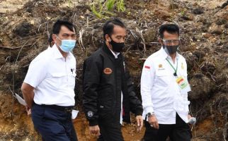Di Depan Jokowi, SYL: 7 Investor Siap Mendukung Food Estate Humbahas - JPNN.com