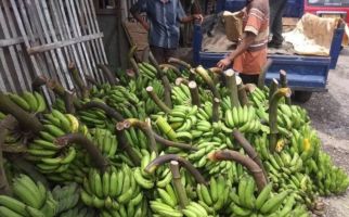 Pedagang Pisang Ketiban Untung Selama Pandemi - JPNN.com