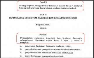 UU Cipta Kerja Sudah Diteken Jokowi dan Dinomori, tetapi Masih Ada Tipo Seperti Ini - JPNN.com