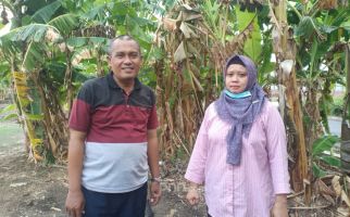 Pensiun Masih Lama, PPPK Malah Dikontrak Setahun, Mujid pun Curiga - JPNN.com