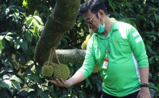 Produksi Durian Meningkat, Indonesia Bisa Menjadi Pemain Utama - JPNN.com