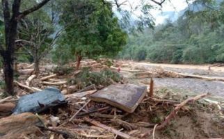 Banjir Bandang Menerjang Landak River Bahorok, Belasan Warung dan Hewan Ternak Hanyut - JPNN.com