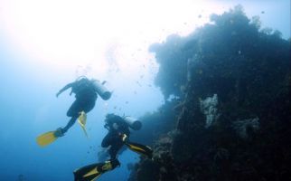 Pengin Scuba Diving? Diver Pemula Harus Penuhi Syarat Ini - JPNN.com