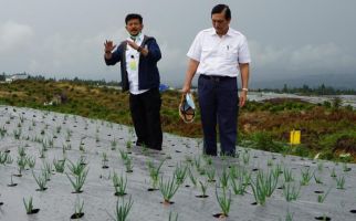 Dampingi Luhut Panjaitan, Syahrul Yasin Limpo Yakin Januari Selesai - JPNN.com