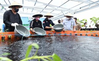 NTP dan NTUP Desember 2020 Meningkat Signifikan - JPNN.com