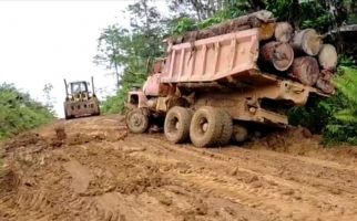 Bareskrim Bongkar Tindak Pidana Illegal Logging di Katingan - JPNN.com