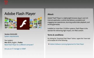 Adobe Blokir Flash Player Per 12 Januari, Segera Hapus! - JPNN.com
