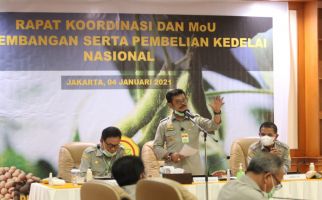 Kementan Komitmen segera Tingkatkan Produksi Kedelai Lokal - JPNN.com