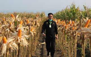 Kementan dan BNI Bersinergi Bangun Ekosistem Smartfarming - JPNN.com