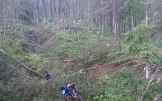 Puluhan Pohon Tumbang, 3 Desa di Cianjur Terasing - JPNN.com