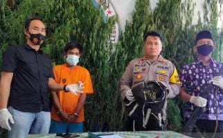 AS, Petani Kopi di Bengkulu Terancam Hukuman 20 Tahun Penjara - JPNN.com