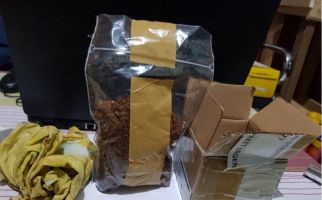 Lagi, Bea Cukai Bongkar Penyelundupan Synthetic Cannabinoid - JPNN.com