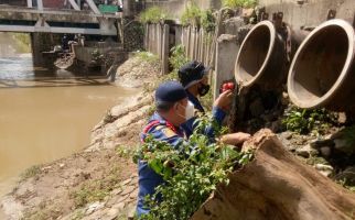 Waspada, Ular Piton Raksasa Masih Berkeliaran di Sekitar Pintu Air Petamburan - JPNN.com