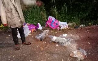 Misteri Belasan Bangkai Kucing dalam Kantong Plastik Terungkap, Pelakunya Ternyata Josef Fayness - JPNN.com