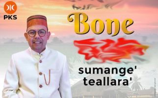 Andi Akmal Dorong Kemajuan Bandara Arung Palaka Untuk Menggaet Investor ke Bone - JPNN.com