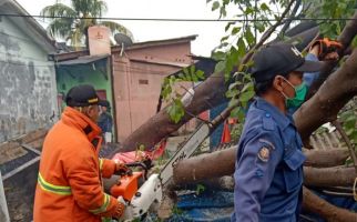 Hujan Badai Guyur Kota Bekasi, Banyak Pohon Tumbang - JPNN.com