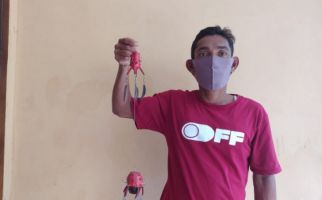 Ciptakan Pancingan Gurita, Pak Bob Bantu Nelayan Lain Berpenghasilan Rp 1,5 Juta Per Hari - JPNN.com