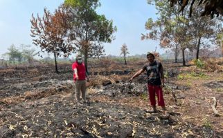 Polda Kalbar Tangkap Tersangka Pembakar Lahan di Pontianak - JPNN.com