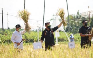 Gairahkan Perekonomian, Mentan Syahrul Yasin Limpo Kembangkan Agrowisata Sawah - JPNN.com