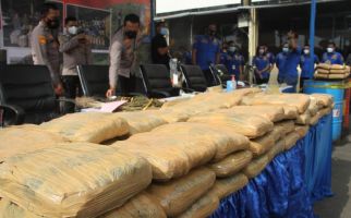 Irjen Fadil Imran Bangga Sama Anak Buahnya, 144,5 Ton Ganja Diamankan dari Sumut - JPNN.com