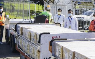 Bea Cukai Banyuwangi Turut Lepas Ekspor 1 Ton Koral ke Hong Kong - JPNN.com