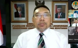 KLHK Hentikan Izin Hutan Alam Primer dan Lahan Gambut Capai 66,18 Juta Hektar - JPNN.com