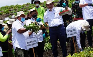 Panen Perdana Kentang di Kawasan Food Estate Humbahas, Luhut: Menggembirakan - JPNN.com