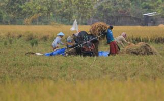 Tegas, Bupati Indramayu Tolak Rencana Impor Beras, Semoga Pemerintah Mendengar - JPNN.com