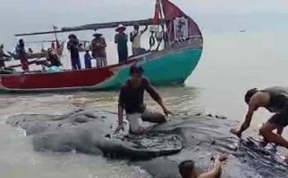 Pulang dari Melaut, Nelayan Menemukan Ada yang Terdampar, Butuh Alat Berat - JPNN.com