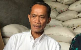 Kementan: Stok Bahan Pokok untuk Ramadan dan Lebaran Aman - JPNN.com