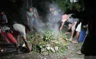 Selamat dari Serangan KKB, Suku Dambet Gelar Ritual Bakar Batu - JPNN.com