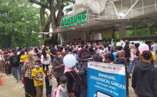 Akhir Libur Lebaran, Pengunjung Kebun Binatang Bandung Melonjak, Simak Kata Wali Kota - JPNN.com