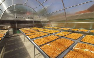 Solar Dryer Dome, Meningkatkan Nilai Tambah Produk Hortikultura Petani - JPNN.com