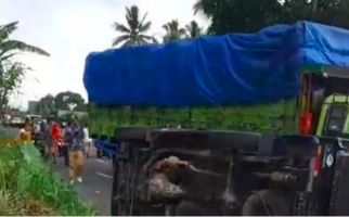 Kecelakaan Beruntun, Kendaraan Milik Pemda Ditabrak Truk - JPNN.com