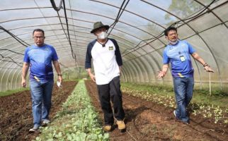 SYL Sebut Ada Teknologi Bercocok Tanam Tanpa Tanah, Tetapi... - JPNN.com