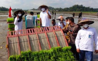 Hasil Produktivitas Tanaman Petani Meningkat, Pupuk Indonesia Perluas Program Agro Solution - JPNN.com