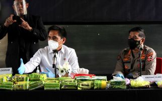 Thailand Legalkan Ganja, Bagaimana Indonesia? Jenderal Spesialis Narkoba Ini Bilang Begini - JPNN.com