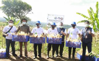 Bank BJB Mendukung Kesejahteraan Petani Jagung Lewat KUR Petani Milenial - JPNN.com
