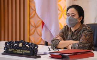 Sentil Sri Mulyani, Puan: Pastikan Bantuan Sampai kepada Rakyat, Termasuk di Desa - JPNN.com