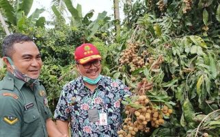 Kementan Siapkan 900 Kampung Hortikultura, Ini Tujuannya - JPNN.com