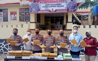 Modus Penyelundupan Ganja 28 Kilogram Sangat Rapi - JPNN.com