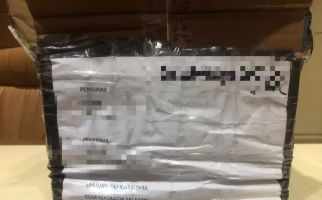Unit K-9 Bea Cukai Batam Menggagalkan Penyelundupan Ganja ke Lombok - JPNN.com