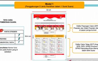 Pemilih Kesulitan, KPU Berupaya Menyederhanakan Surat Suara - JPNN.com