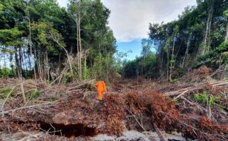 Agus & Yunus Tersesat di Hutan Sungai Maya, Semoga Segera Ditemukan, Amin - JPNN.com