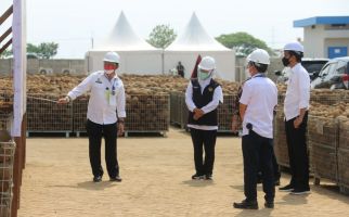 Bertandang ke Madiun, Presiden Jokowi Dorong Industri Porang Siap Ekspor Produk Olahan - JPNN.com