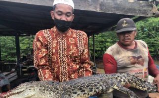 Jaring Terasa Berat, Mahdin Mengira Ikan Besar, Saat Diangkat, Oh Ternyata - JPNN.com